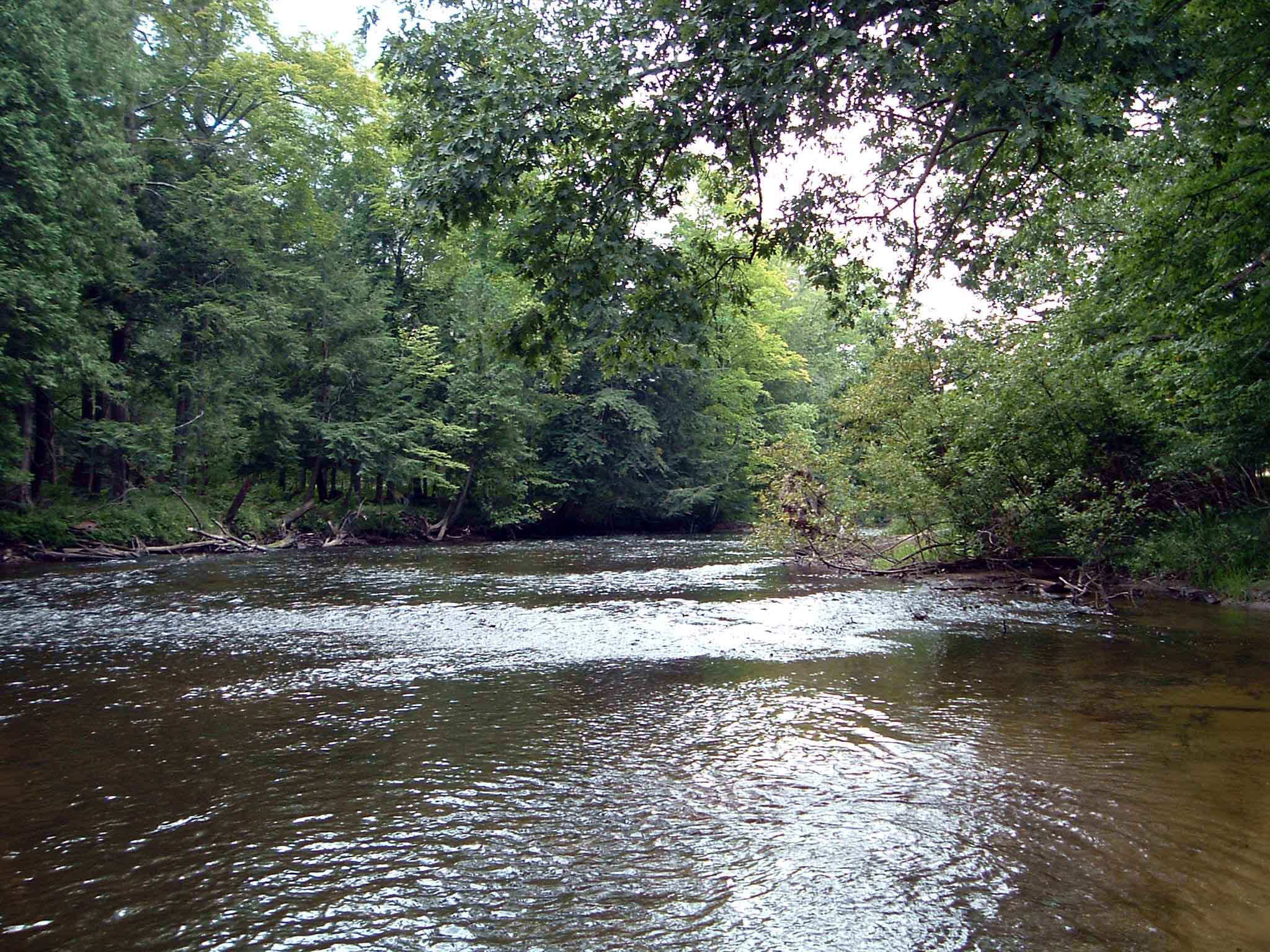 Manistee River below Tippy Dam - Fishing Report - Guide Service