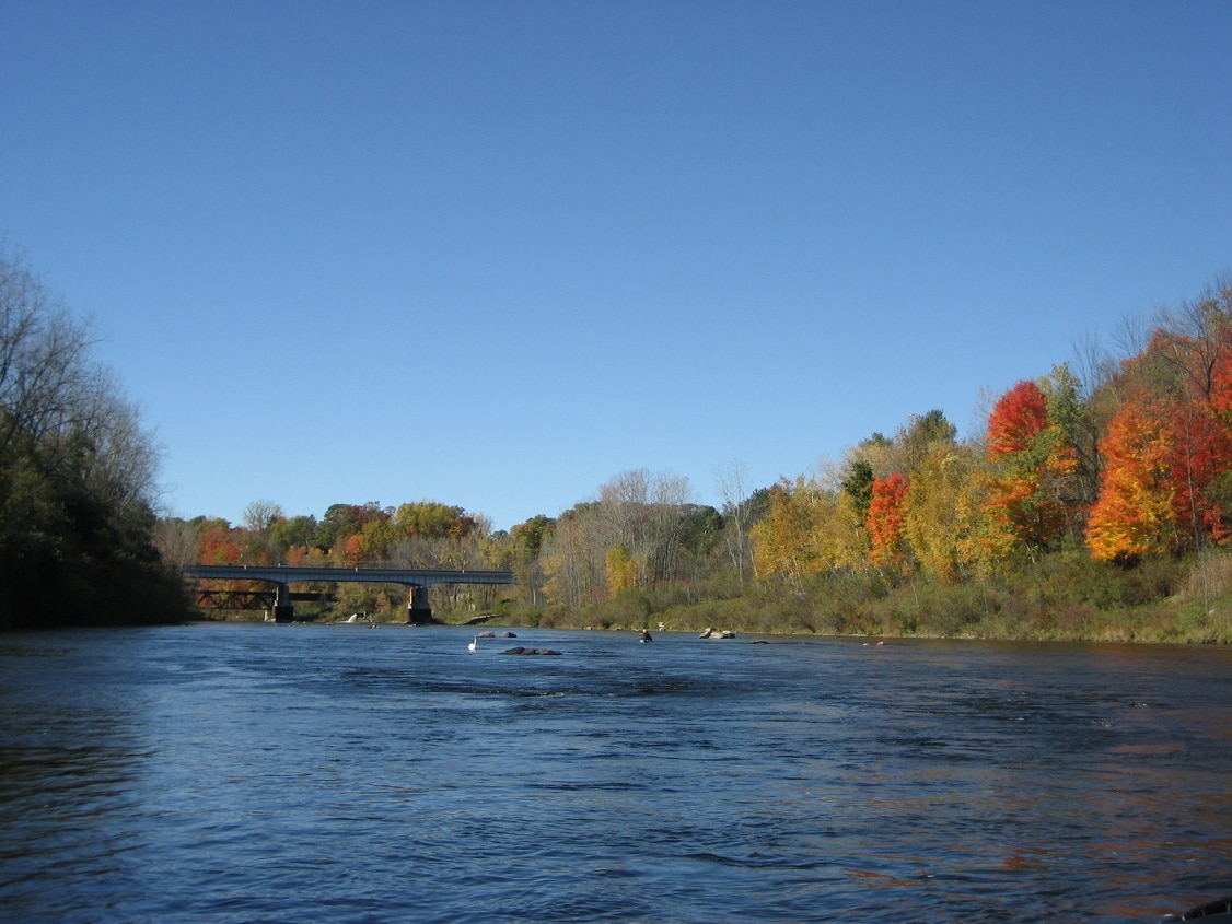 PM, Manistee, Muskegon River Fishing Guide - �������� �������� ���������� ��������������